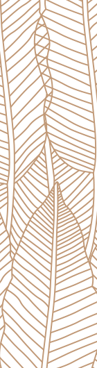 CUisinier en Gironde - CHarly Fredet - Carcans Maubuisson