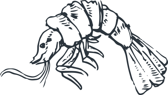 Plancha à partager au restaurant Le Comptoir de Marcel à Carcans Maubuisson